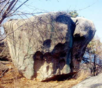 cultural-43-01.jpg